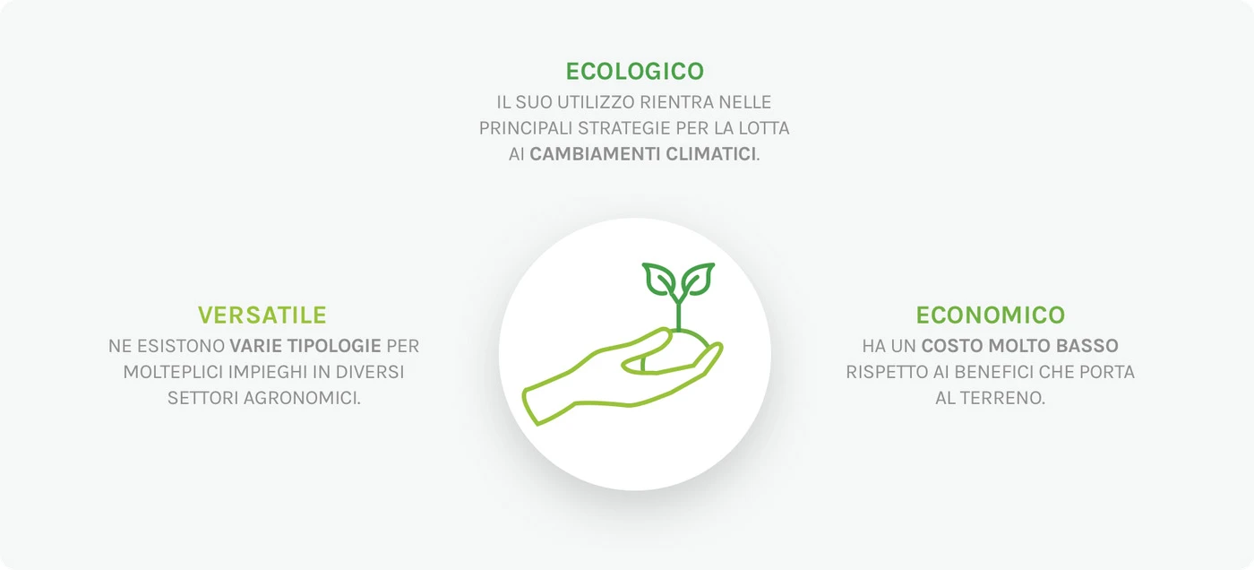 Infografica sulle caratteristiche del compost