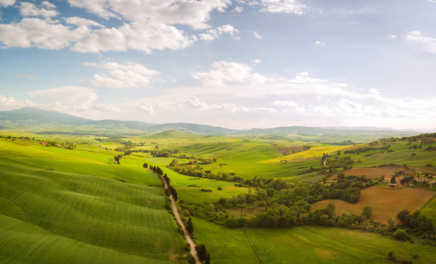 La transizione ecologica